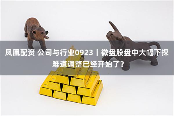 凤凰配资 公司与行业0923丨微盘股盘中大幅下探 难道调整已经开始了？