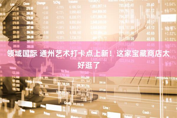 领域国际 通州艺术打卡点上新！这家宝藏商店太好逛了