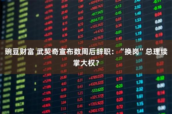 豌豆财富 武契奇宣布数周后辞职：“换岗”总理续掌大权？